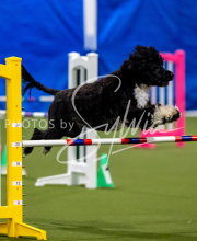 2025-June-Trial-1558