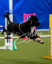 2025-June-Trial-1559