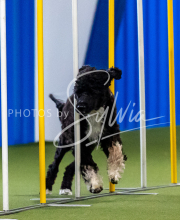 2025-June-Trial-1560