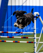 2025-June-Trial-1562