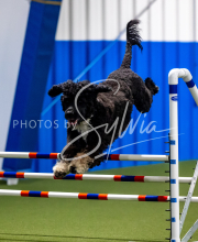 2025-June-Trial-1563