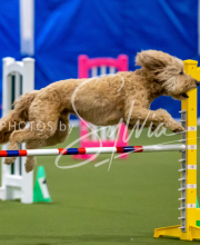 2025-June-Trial-1564