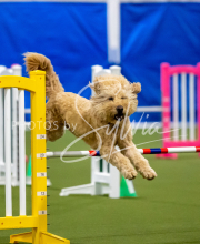 2025-June-Trial-1565