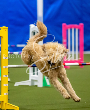 2025-June-Trial-1566