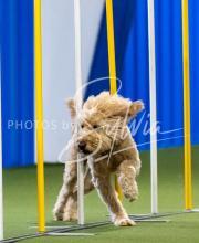 2025-June-Trial-1570