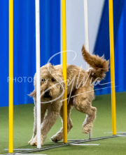 2025-June-Trial-1571