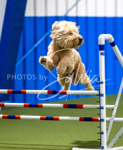 2025-June-Trial-1572