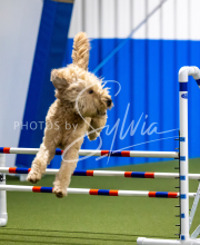 2025-June-Trial-1574