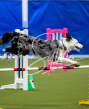 2025-June-Trial-1575