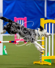 2025-June-Trial-1576