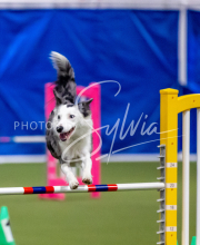 2025-June-Trial-1578