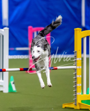 2025-June-Trial-1579