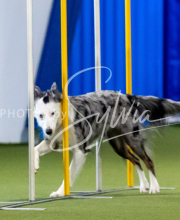 2025-June-Trial-1581