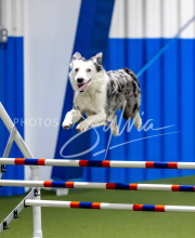 2025-June-Trial-1588