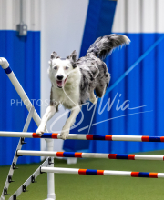 2025-June-Trial-1589