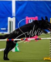 2025-June-Trial-1590