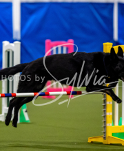 2025-June-Trial-1591