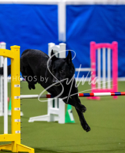 2025-June-Trial-1593