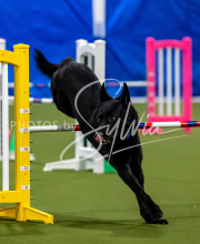 2025-June-Trial-1594