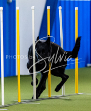 2025-June-Trial-1599