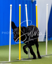 2025-June-Trial-1604