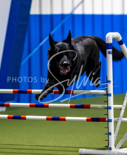 2025-June-Trial-1605