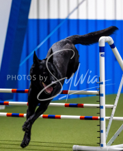 2025-June-Trial-1606