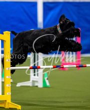 2025-June-Trial-1608