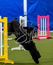 2025-June-Trial-1610