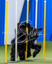 2025-June-Trial-1614