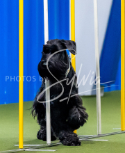 2025-June-Trial-1619