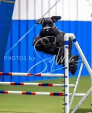 2025-June-Trial-1624