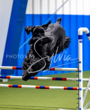 2025-June-Trial-1626