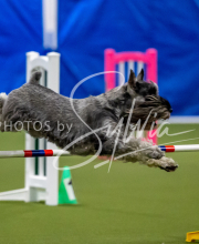 2025-June-Trial-1627