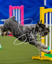 2025-June-Trial-1628