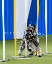 2025-June-Trial-1629