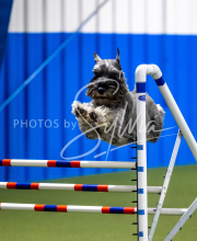 2025-June-Trial-1635