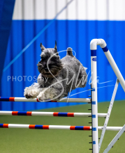 2025-June-Trial-1636