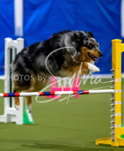 2025-June-Trial-1637