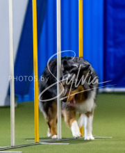 2025-June-Trial-1641