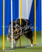 2025-June-Trial-1648