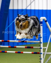 2025-June-Trial-1650