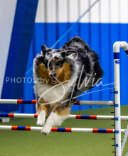 2025-June-Trial-1651