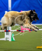 2025-June-Trial-1653