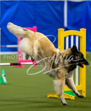 2025-June-Trial-1655