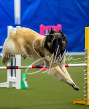 2025-June-Trial-1656