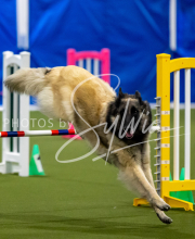 2025-June-Trial-1657