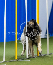 2025-June-Trial-1664