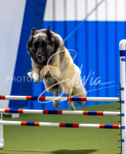 2025-June-Trial-1666