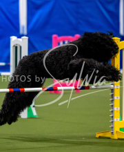 2025-June-Trial-1669